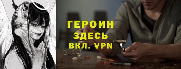 дживик Ельня