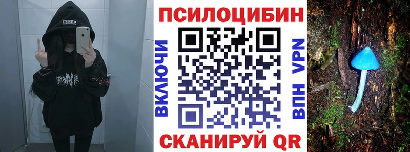 KRAKEN tor Володарск Псилоцибиновые грибы GOLDEN TEACHER где купить наркотик